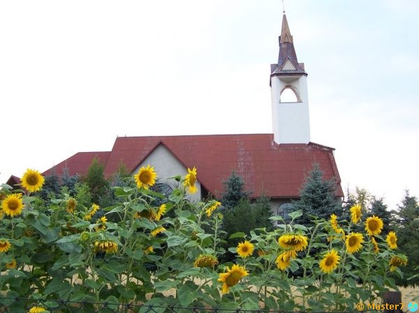 Janowice - kościół