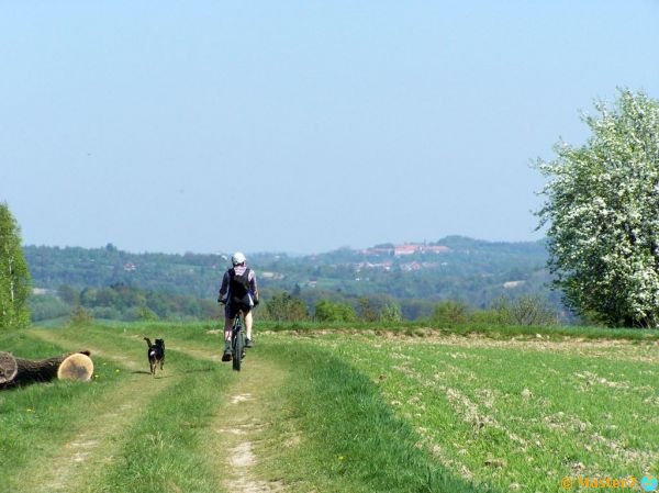 Na Pogórzu Wiśnickim